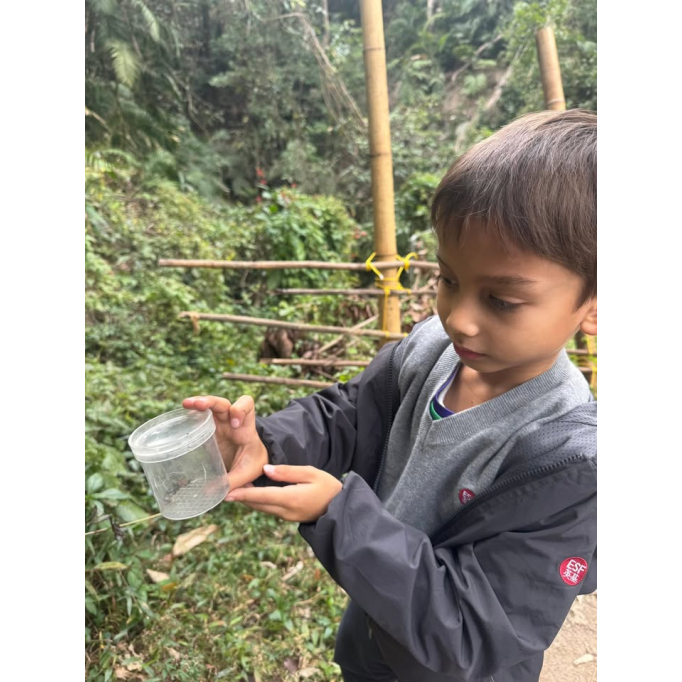 615502570_1430916425710668_6864851295542653390_n