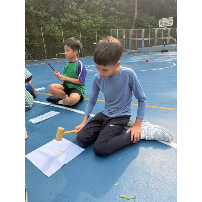 674553743_1514930340642609_8188054374675541324_n