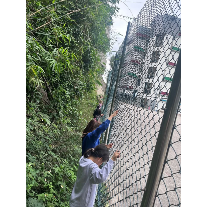 582720781_1375797531222558_540944240110514614_n