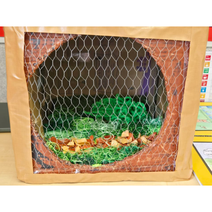 657529826_1490029963132647_4721575871370671954_n