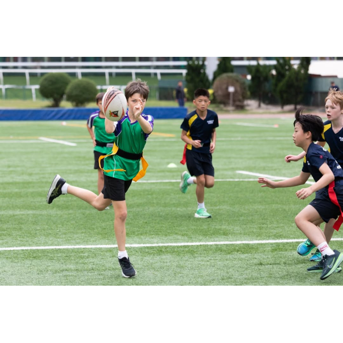 651268946_1480810934054550_2411142883831065303_n