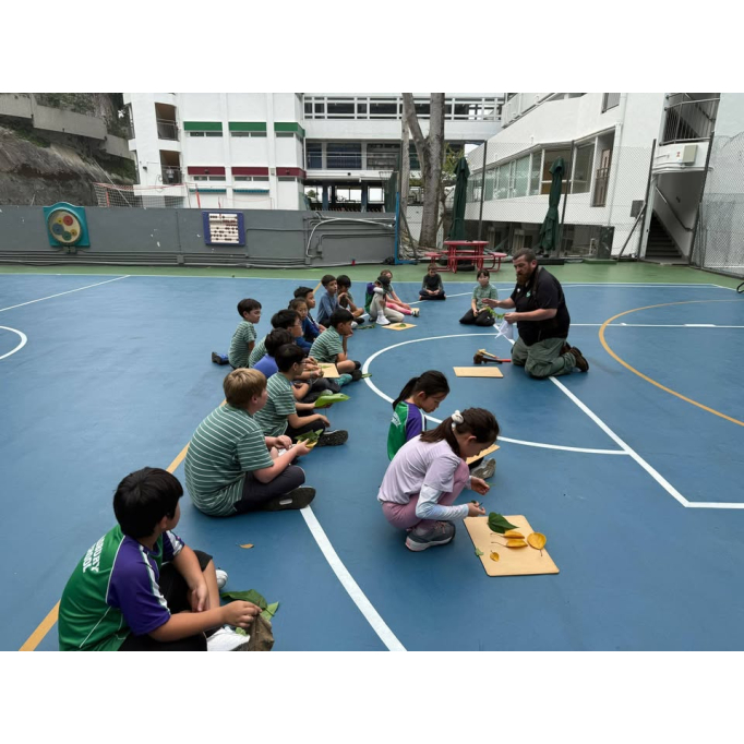 678639637_1514929810642662_961069937603153132_n