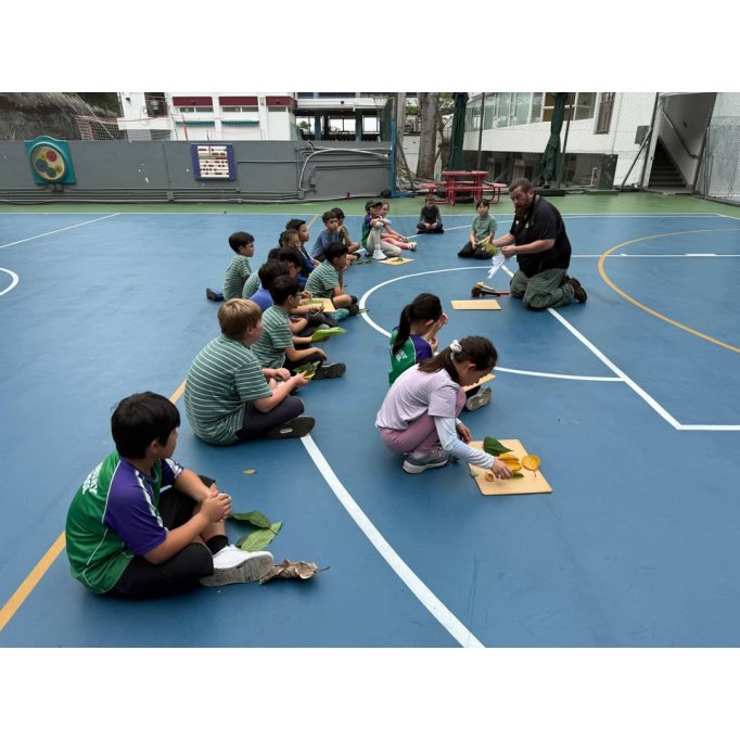 679804116_1514929973975979_193524786630292718_n