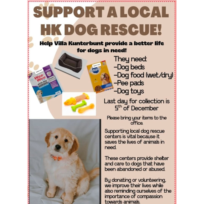 583124523_1381416750660636_4207719065930956111_n