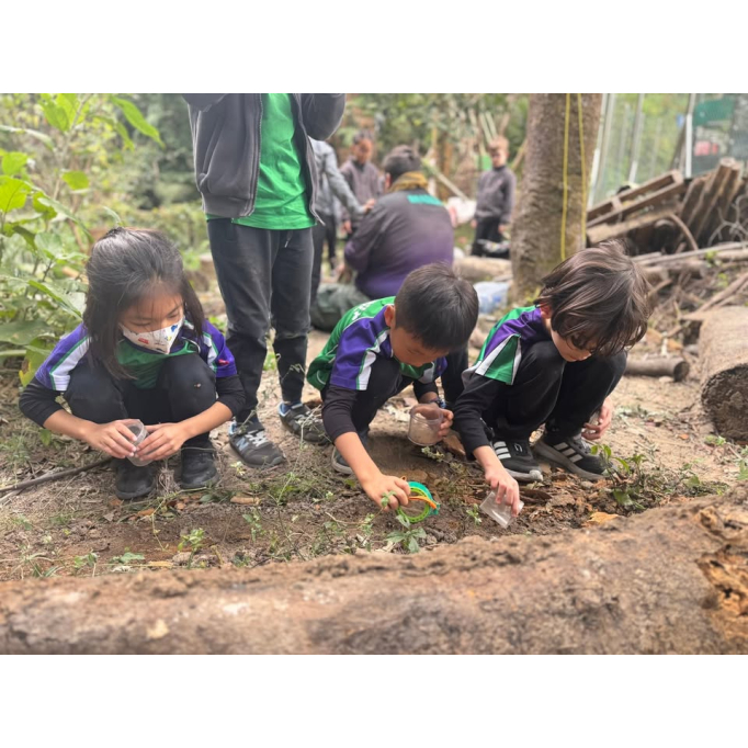 616061024_1430916539043990_7133004960535785525_n