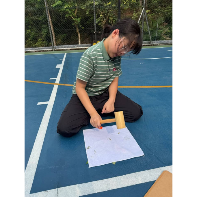 678688976_1514930233975953_6337747140473125815_n