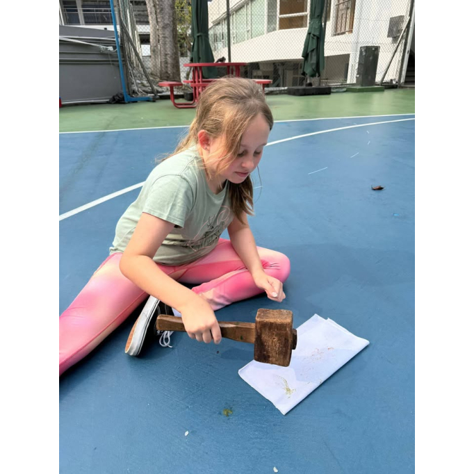 678807695_1514930270642616_7925089940851540418_n