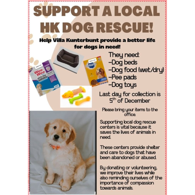 585330138_1379759740826337_6706572621324096404_n